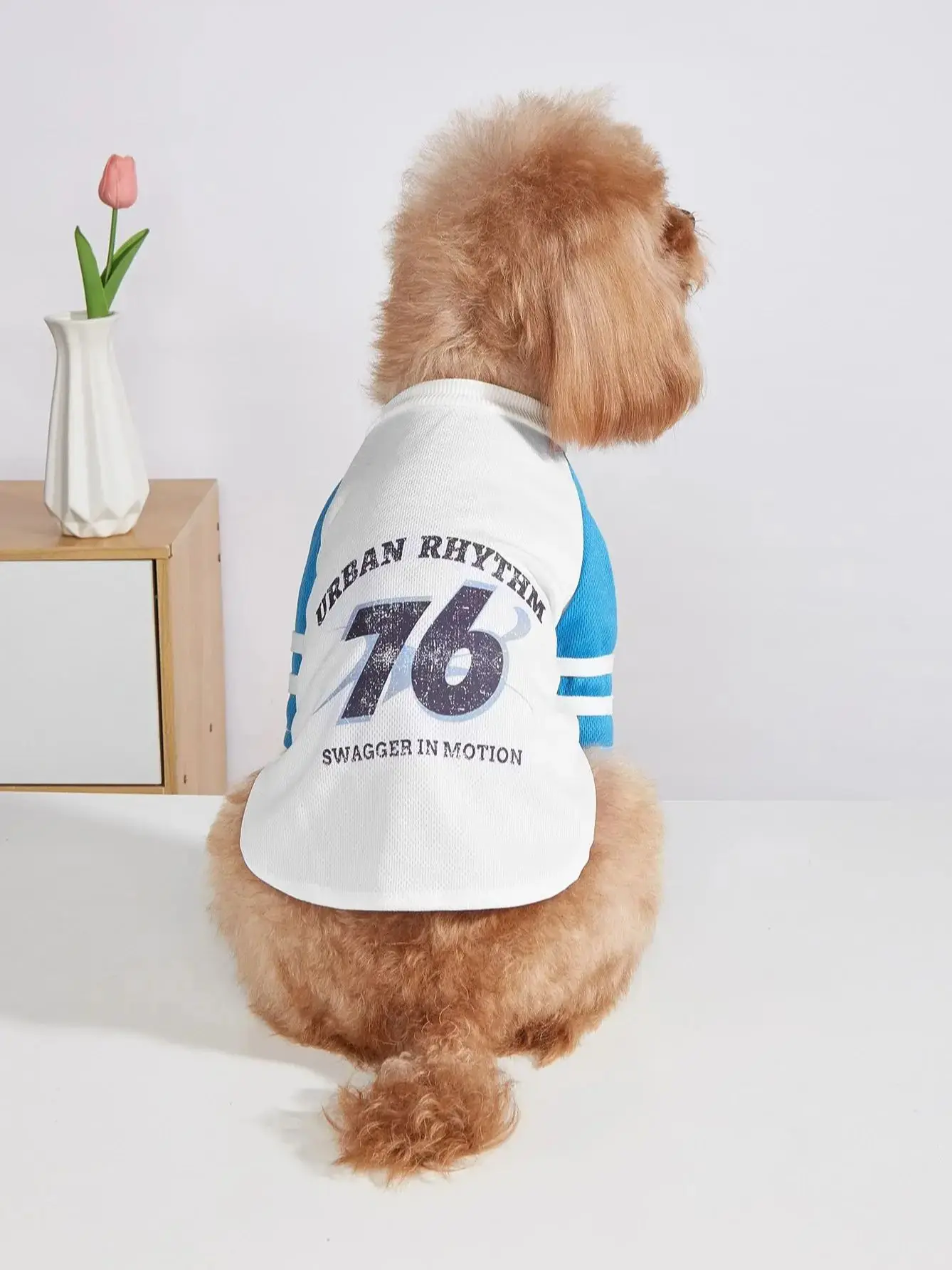 Pet clothes dog cat t-shirt warm and comfortable clothes with prints simple and generous