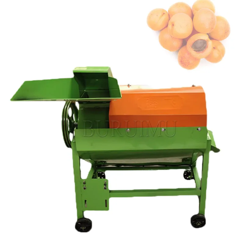 Industrial Stainless Steel Apricot Kernel Meat Separator Pulp Removing Machine Almond Seed Flesh Peeling Separating Machine