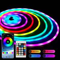 DC5V RGBIC Neon Strip Light IP65 5M USB Flexible Ribbon Neon Rope Light With Bluetooth Remote Control For Home Decor Lighting
