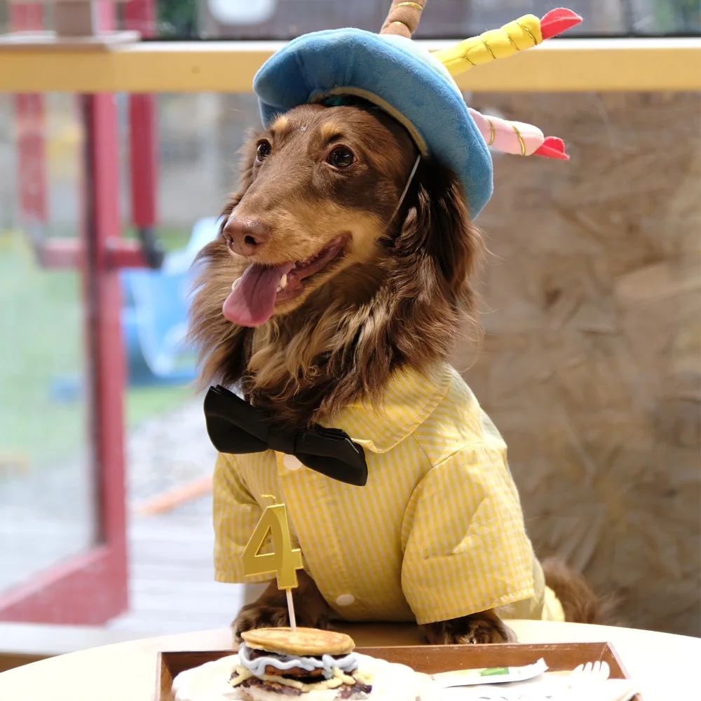 Camiseta a cuadros amarilla para Dachshund – Pijama algodón suave - imagen 5