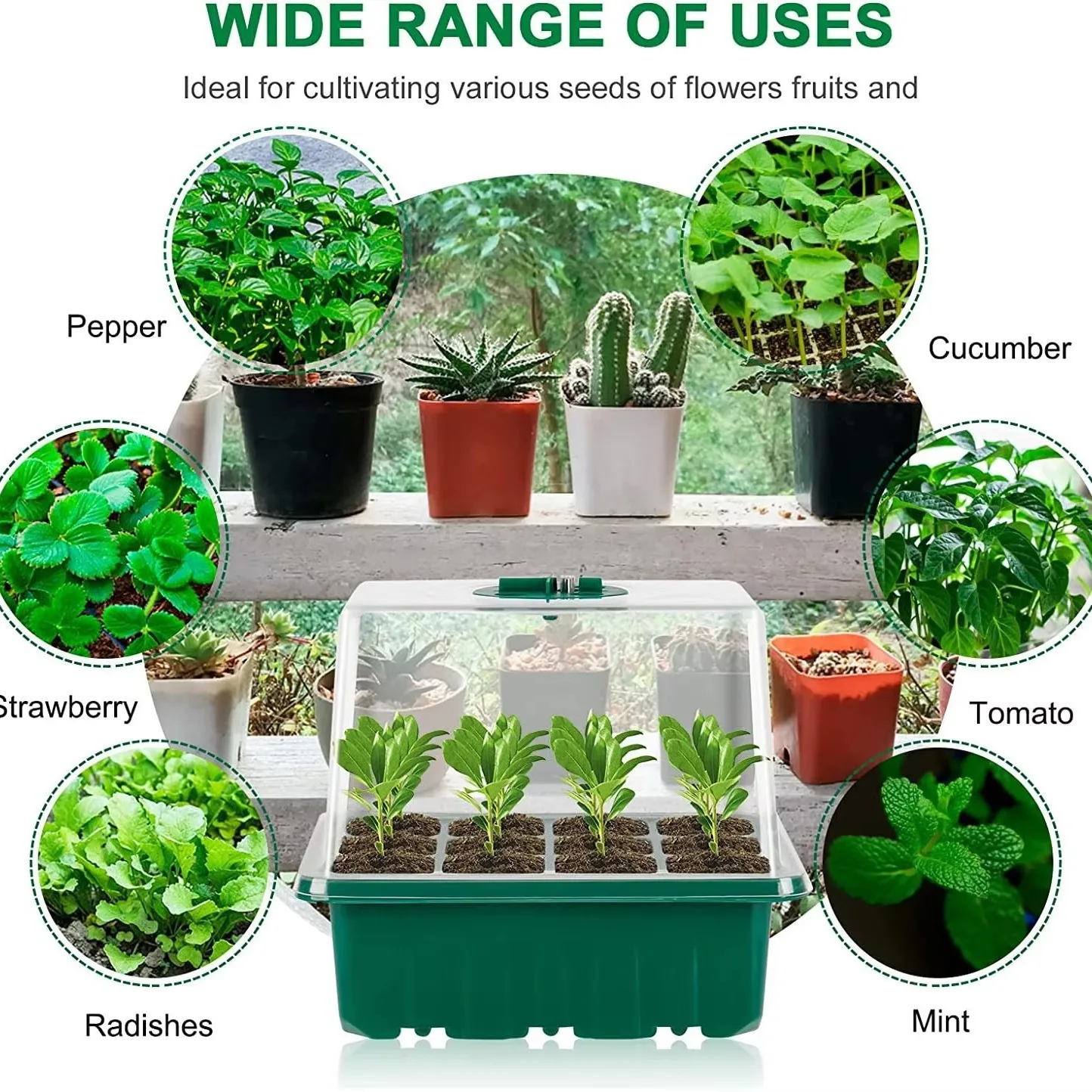2026 Propagation Box With Mini Supplement Grow Light Air Vent Tall Thick Lid Seedling Tray Home Seedling Lighting Device