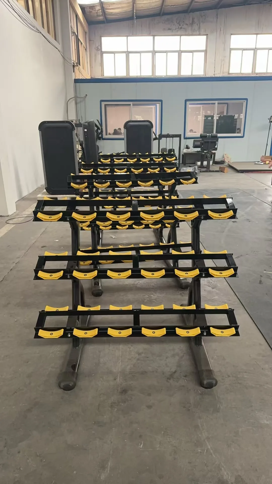 ASJ-DS026 Factory Direct Supply Hot Sale High Quality Machine Rack Gym Equipment Fitness 3 Layers Dumbbell Rack