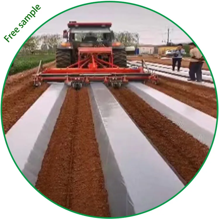 2025Cheap Agriculture Farm Mulch Films for Crops Mulching Plastic