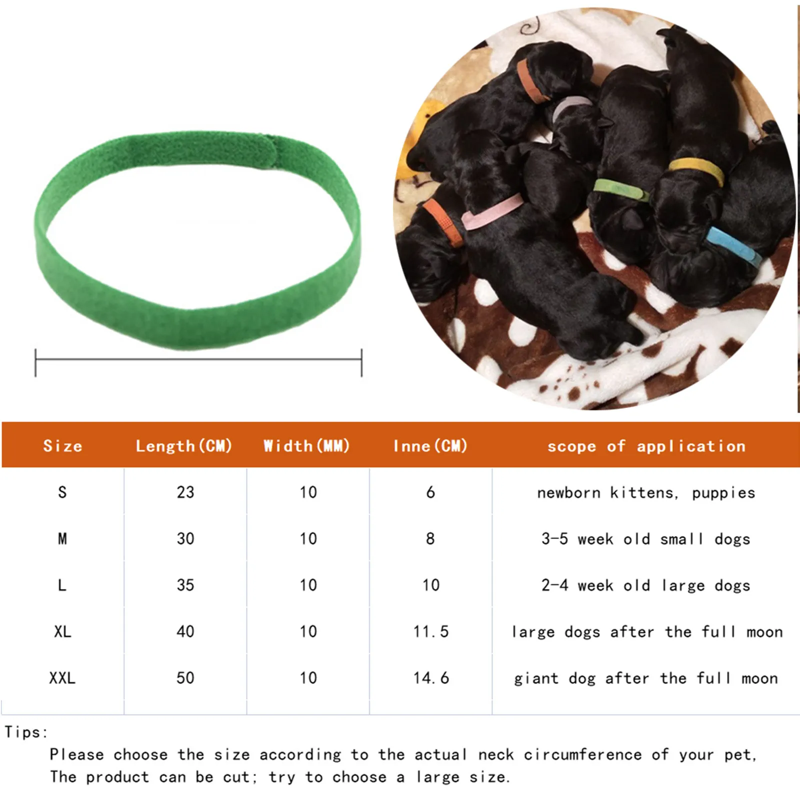 12pcs/Set Puppy Collars Adjustable Nylon Newborn Pet Color Collar Small Pet Dog Collars Cats Necklace Marker Rope Pet Supplies