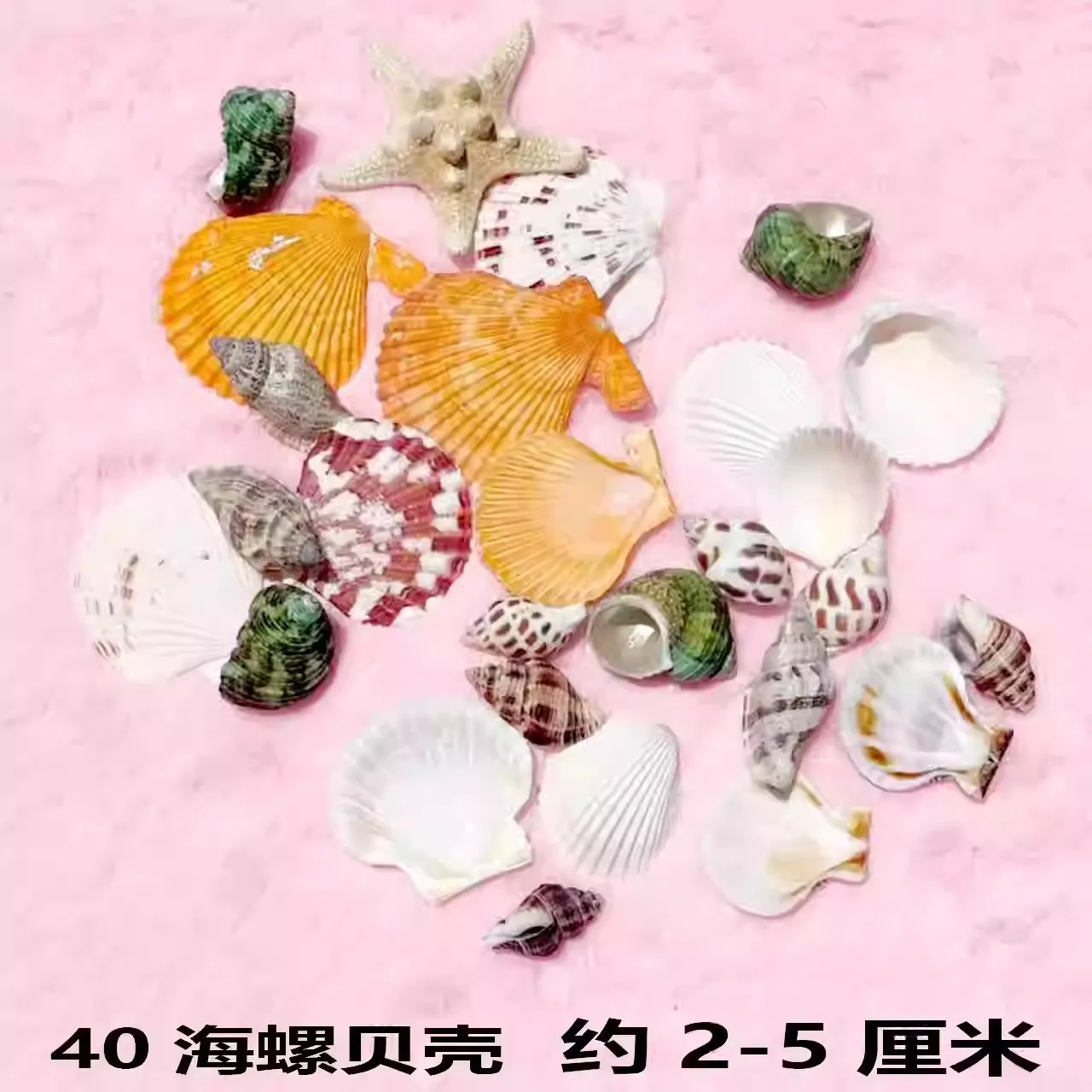 PREMIUM CRAFT SEASHELLS SET WITH STARFISH FOR PARTY DECORATIONS