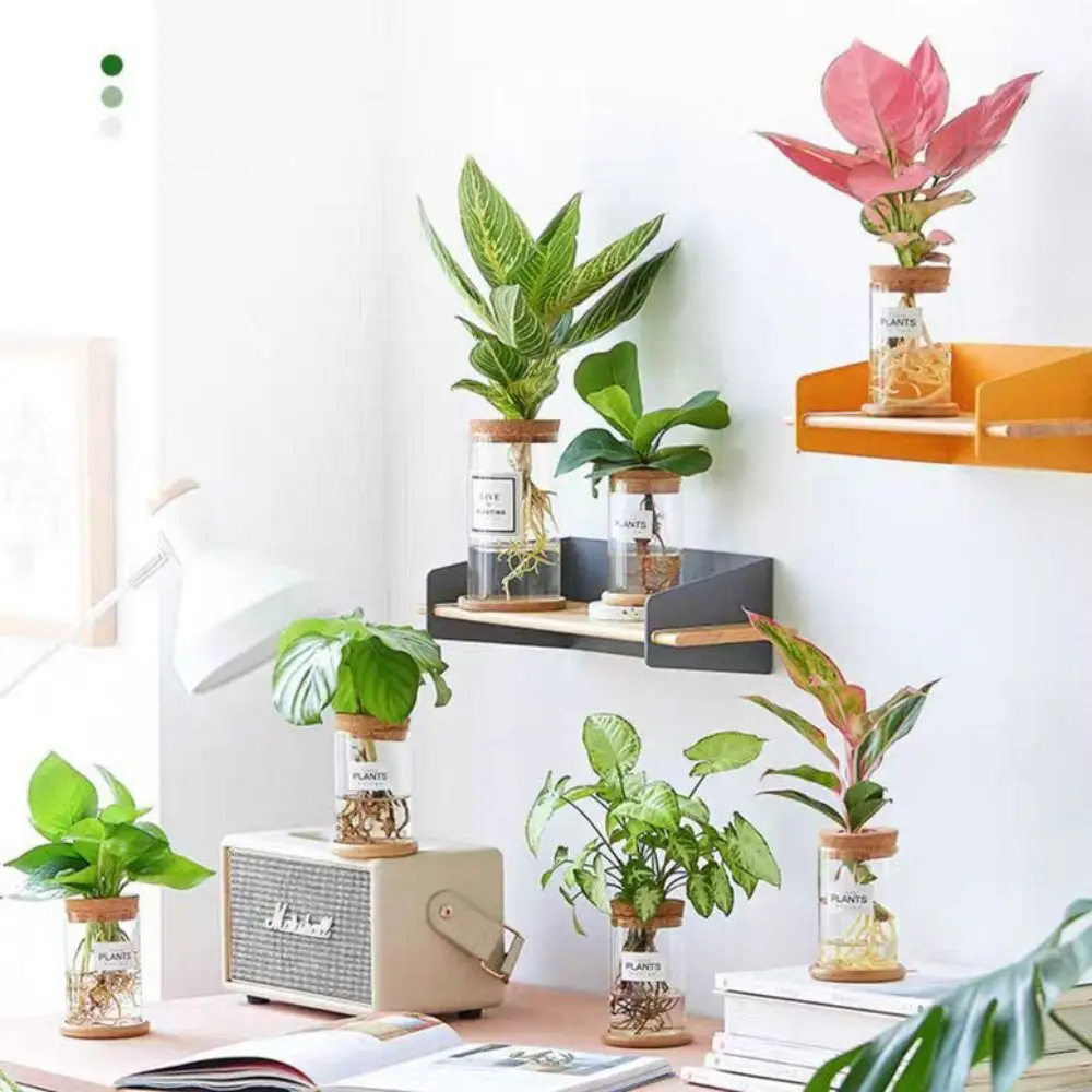 Transparent Hydroponic Flower Pot Green Plant Creative Mini Terrarium Potted Soilless Home Glass Vase