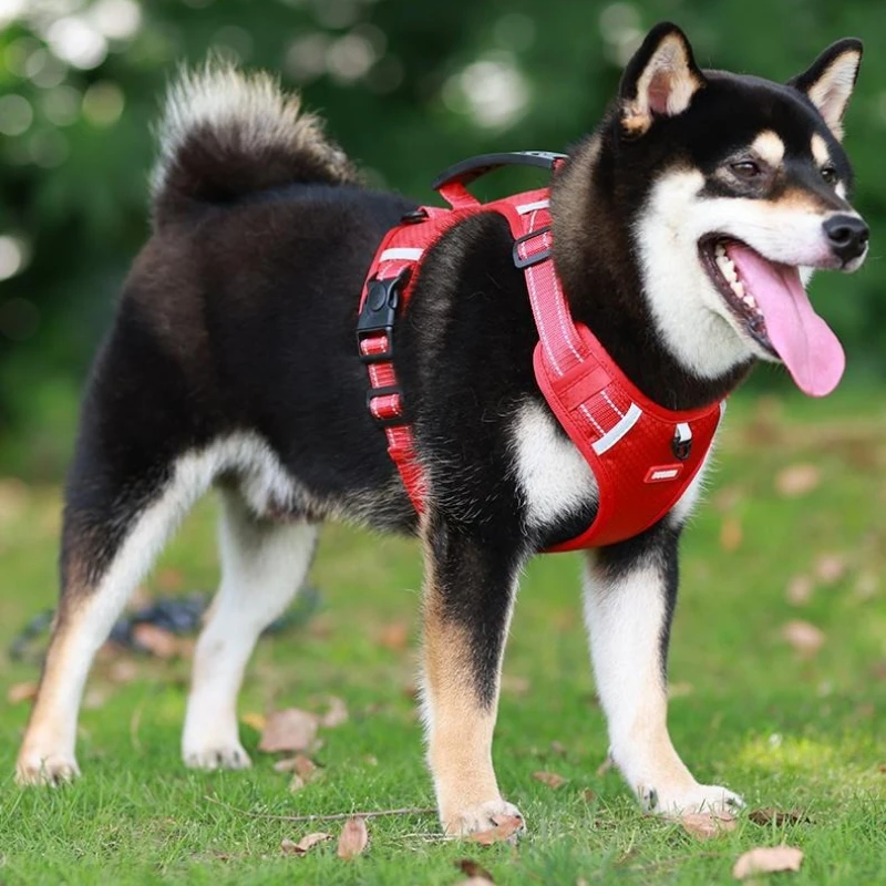 

Нагрудный ремень для собак, противоскользящая веревка для ходьбы, противоударный жилет, стильная шлейка для собак, декоративный ошейник для французского бульдога