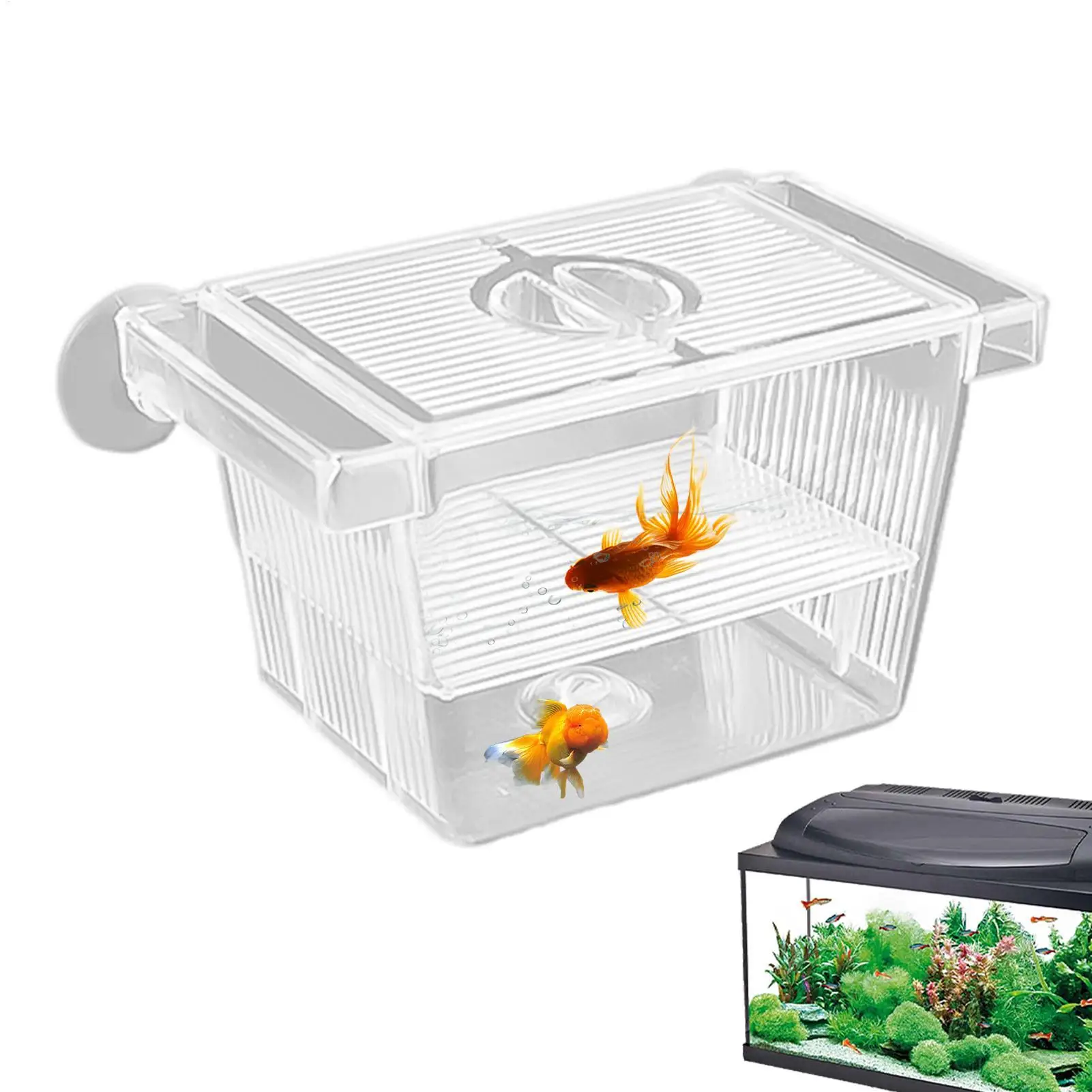 Aquarium Hatchery Acrylic Isolation Box Breeding Box Spawning Device Incubator Tank  Fish Tank Divider for Baby Fishes Shrimp