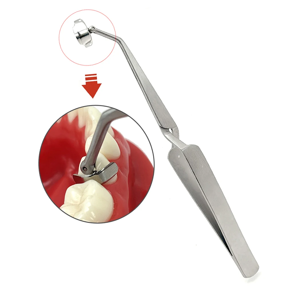 

Dental Matrix Forceps Matrix Bands Placement Sectional Matrix Holder Clamp Dental Tools