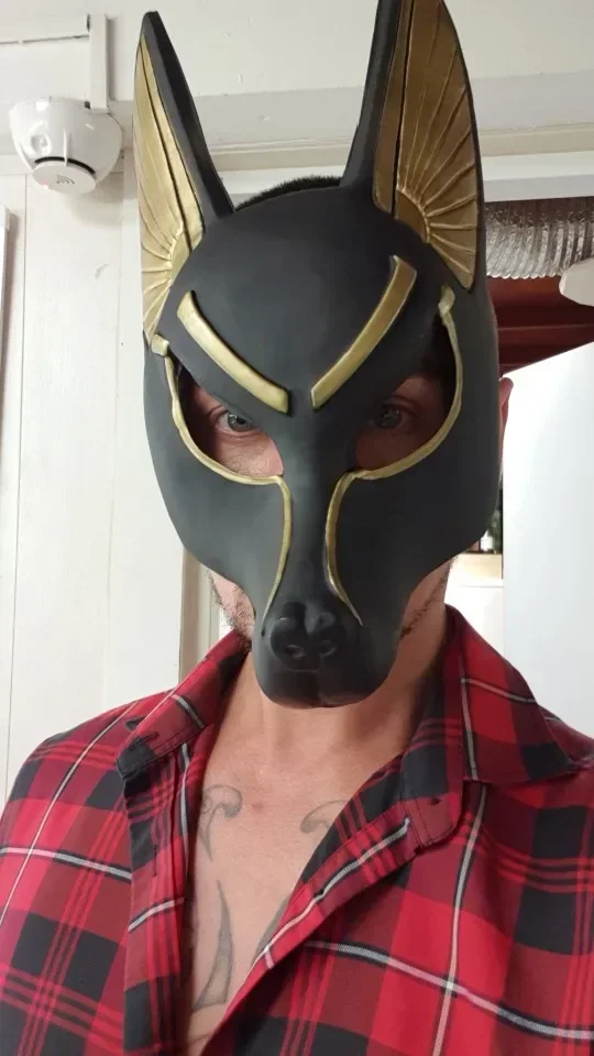 

[Funny] Egyptian Anubis Cosplay Face Mask PVC Wolf Head helmet Costume Party prop Halloween Fancy Dress Ball toy