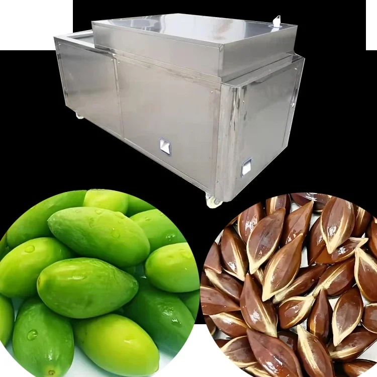 Commercial high-capacity olive/plum/jujube core and seed remover - automatic fruit pitting equipment for processing plants