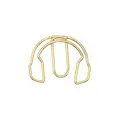 gold-earphone