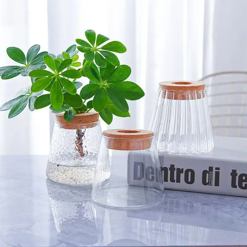 Glass Flowerpot Breeding Station Vase Rack Desktop Hydroponic Plant Cuttings Office Home Decoration