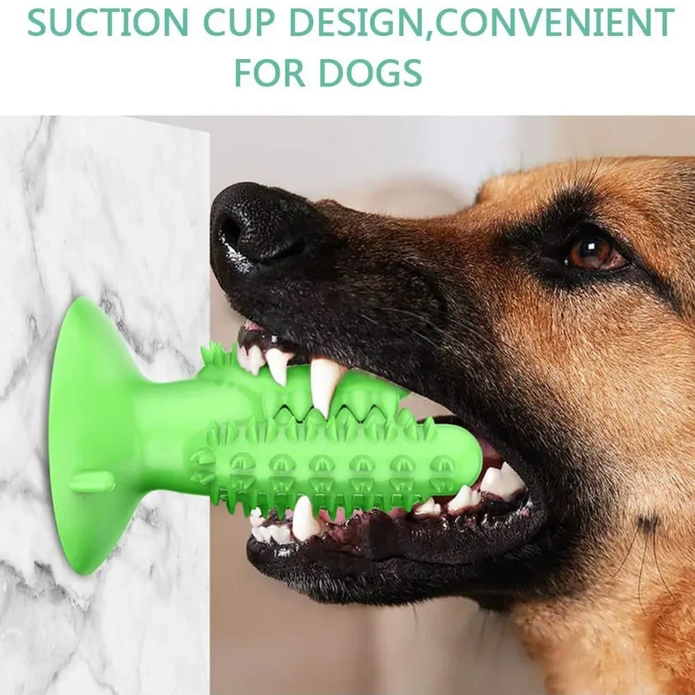 NEW Dog Toothbrush Toys for Dogs Interactive Toy Training IQ Teeth Cleaning Durable Small Medium Large Dog Puppy Chewing