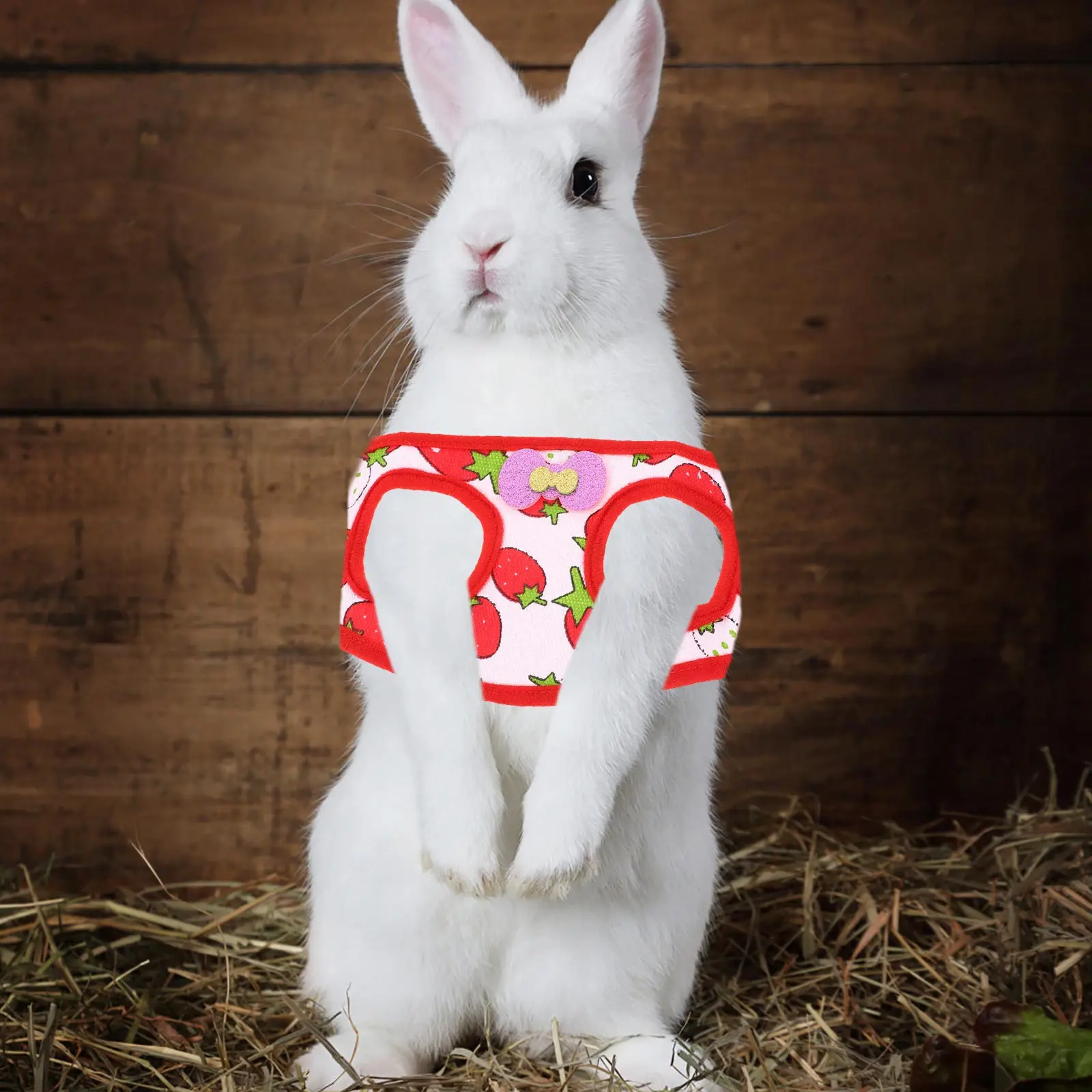 

1 set Rabbit Vest Lovely Pet Harness For Small Animals Comfortable Outdoor Traction Rope Guinea Pig Chinchilla Bunny Pulling