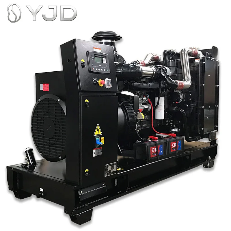 DCW-313T5 PRP 250KW 312.5KVA Diesel Generator Leroy Somer 400V/12V Three-Phase Silent Low Noise 1500rpm