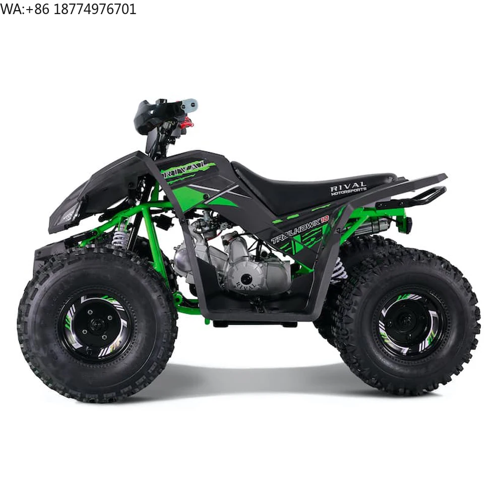 Tao Motor 125cc ATV 125cc Automatic for Kids 12V 5AH Front Drum Brake Chain DRIVE Rear Disc Brake Atv 125 150cc Atv Gas / Diesel