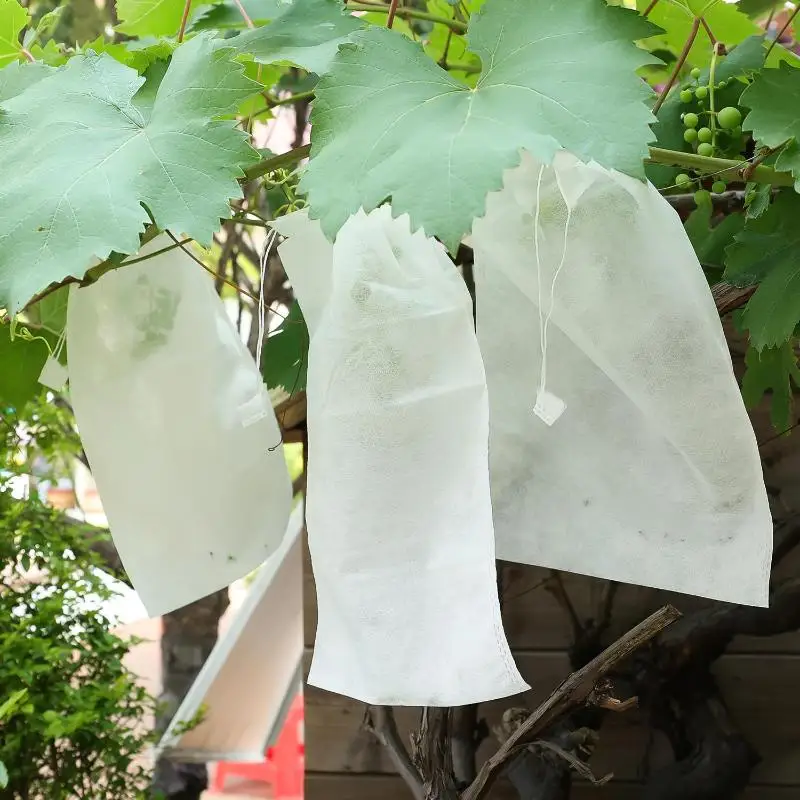 100Pcs Fruit Protection Bags With Drawstring Breathable Mesh Netting Insect Bird Pest Proof Cover For Peach Tomato Grape Tree