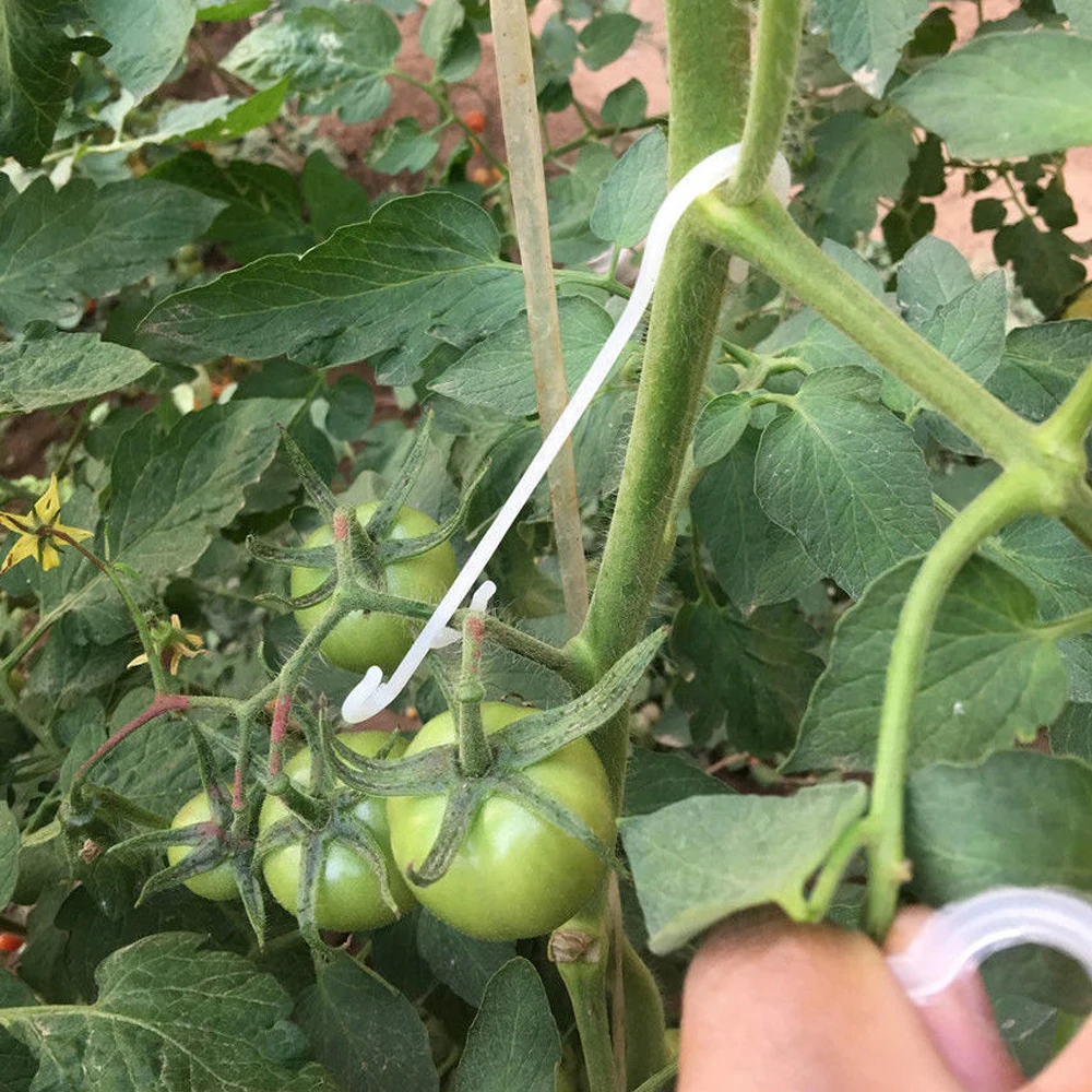 Clips de gancho J para soporte de tomate de plantas, armazón de verduras de fresa de jardín para evitar pellizcos o caídas, 100/9,5 Uds.,/13/16cm