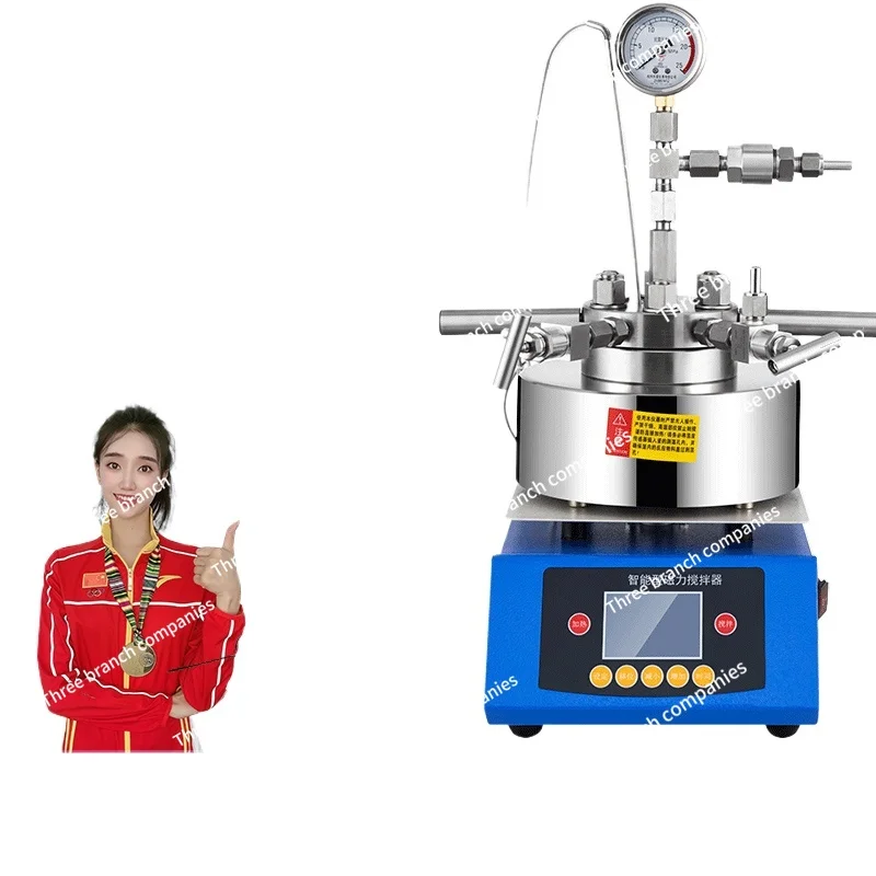 Technology Magnetic Stirring High Pressure Reactor Stainless Steel High Temperature  Hydroreactor