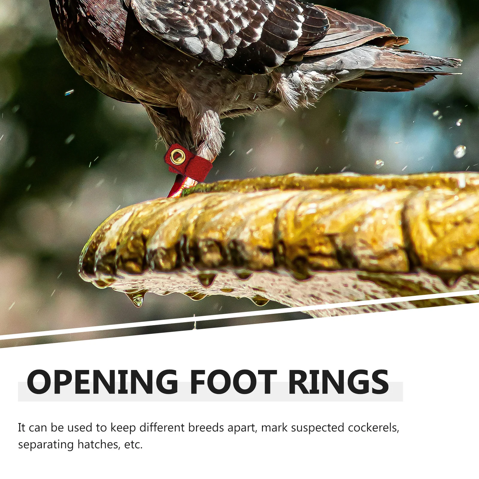 

4 set Parrot Foot Rings Premium Suede Cloth Durable Bird Identification Rings For Homing Pigeons Chicken Coops Reusable Leg