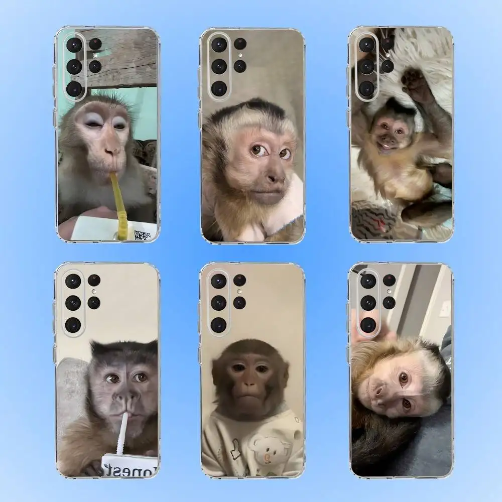 

Monkey Sipping C-Caprisun Phone Case For Samsung S24,30,21,22,23,20 FE,lite,PIus,Ultra,5G,Note,9,10 Transparent Cover