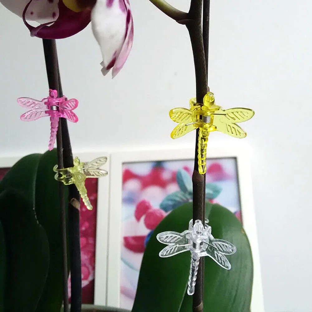30Pcs Plant Fixing Clips Lightweight Plastic for Supporting Orchids and Garden Vines Essential Gardening Tools