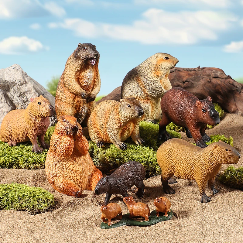 Wild Animals Simulation Rodent Marmot Capybara Model Action Figure Figurine Collection Cute Kid Toy