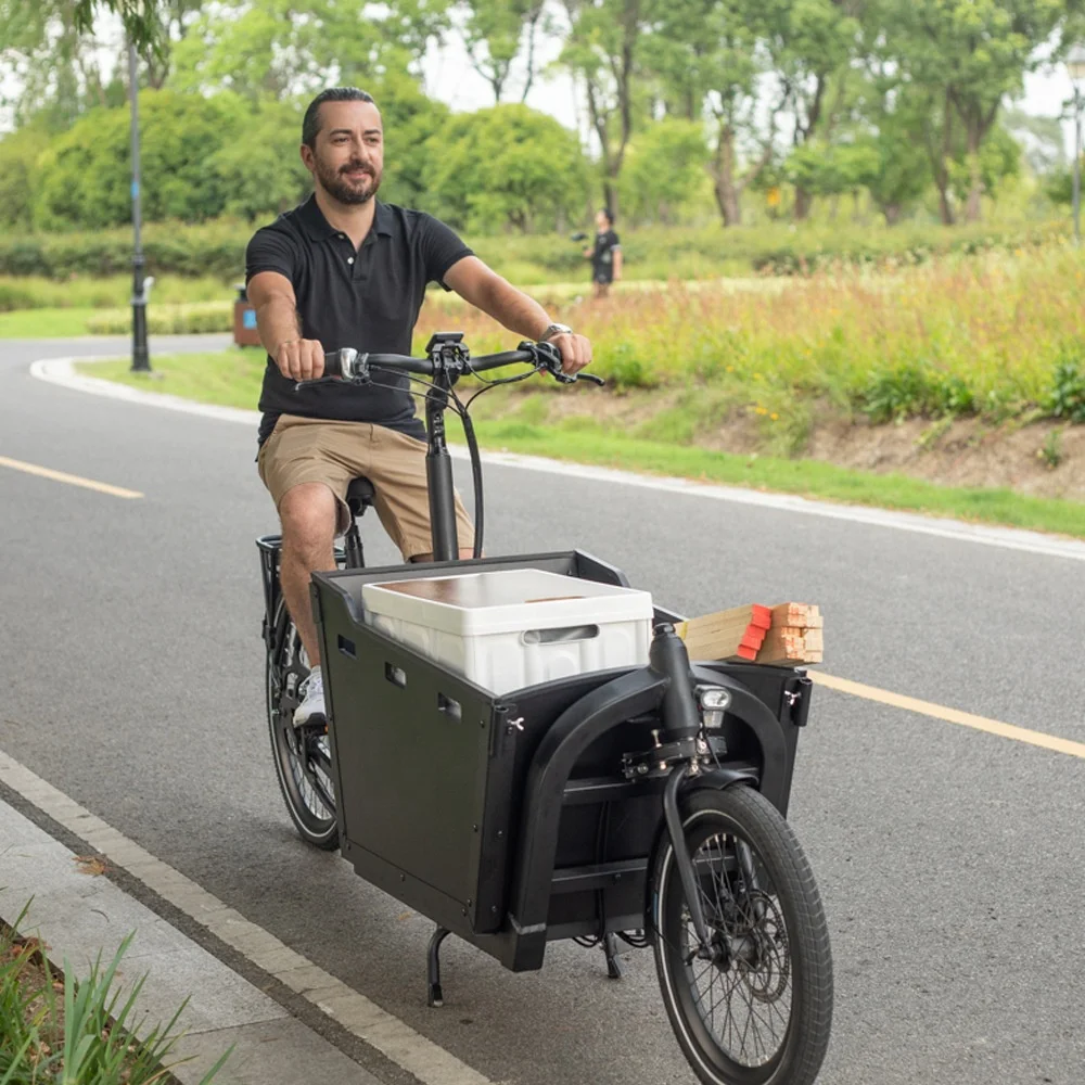 OEM 2 Wheel Electric Cargo Bike