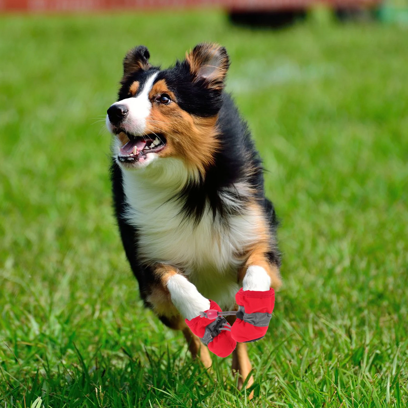 

4Pcs Waterproof Dog Boots Outdoor Durable Anti-Slip Pet Shoes Paw Protectors Rain Shoes Waterproof Pet Boots Dog Boot