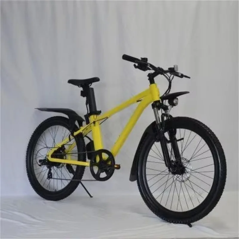 High Quality 100Kg Load Electric Mountain Bike Rapide Electric Bike With Lithium Battery Factory Price