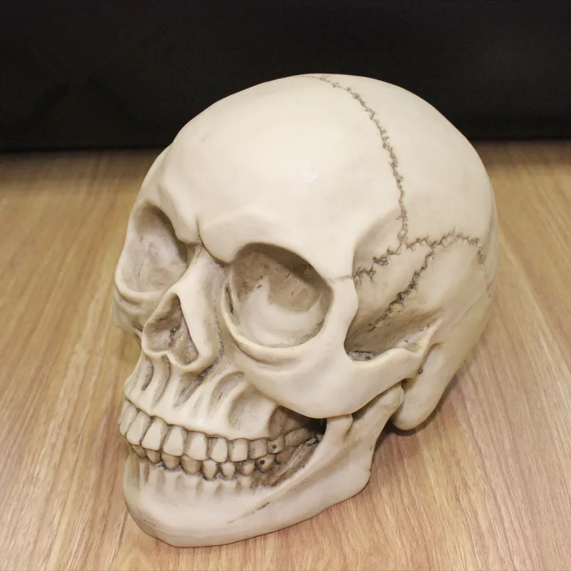

1:1 Resin Skull Sculpture Education And Painting Dedicated Medical Model Realistic Home Decoration 3D 19*15*14CM