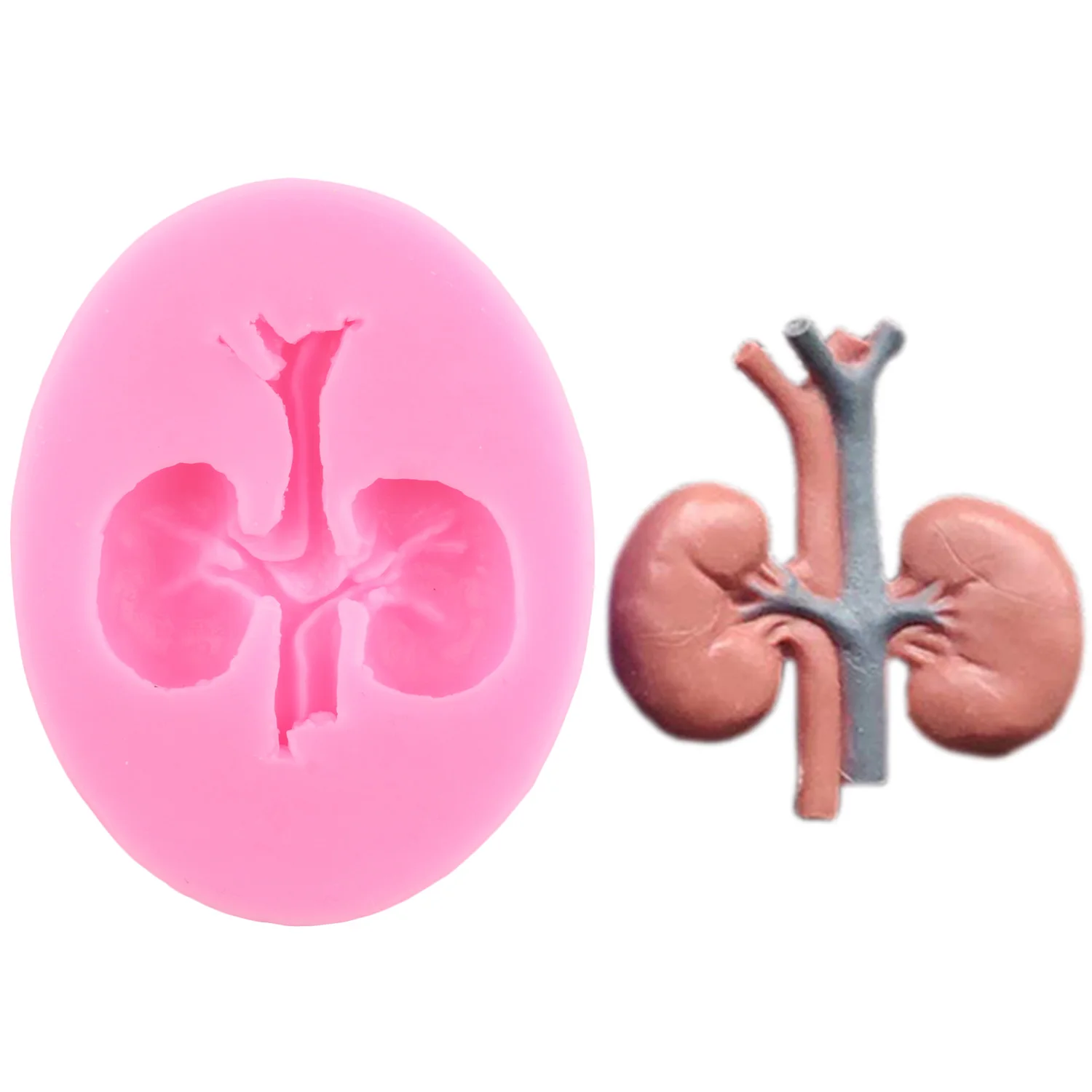 Human Organs Silicone Molds Heart Liver Stomach Kidney Brain Fondant Mold DIY Chocolate Candy Halloween Cake Decorating Tools