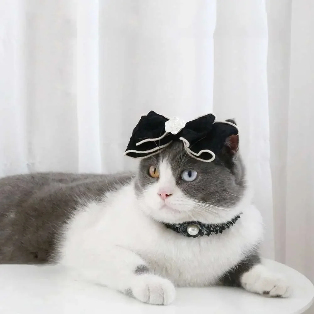 Jewelry Pet Hair Hoop Puppy Hairband Dog Dress Up Hat Pet Hair Accessories Bow Tie Dog Bowknot Pet Cat Headdress Cat Accessories