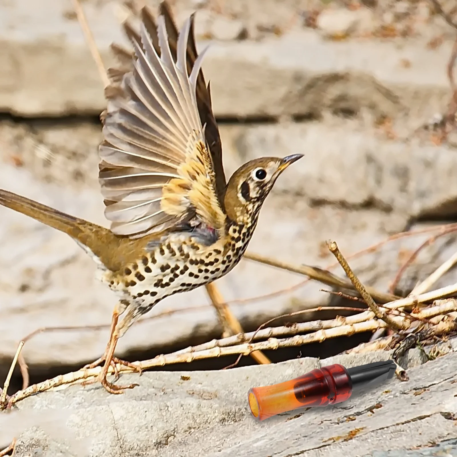 

Plastic Crow Caller Whistle Realistic Sound Simulation for Hunting Bird Watching Research Portable Outdoor Bird Attractor