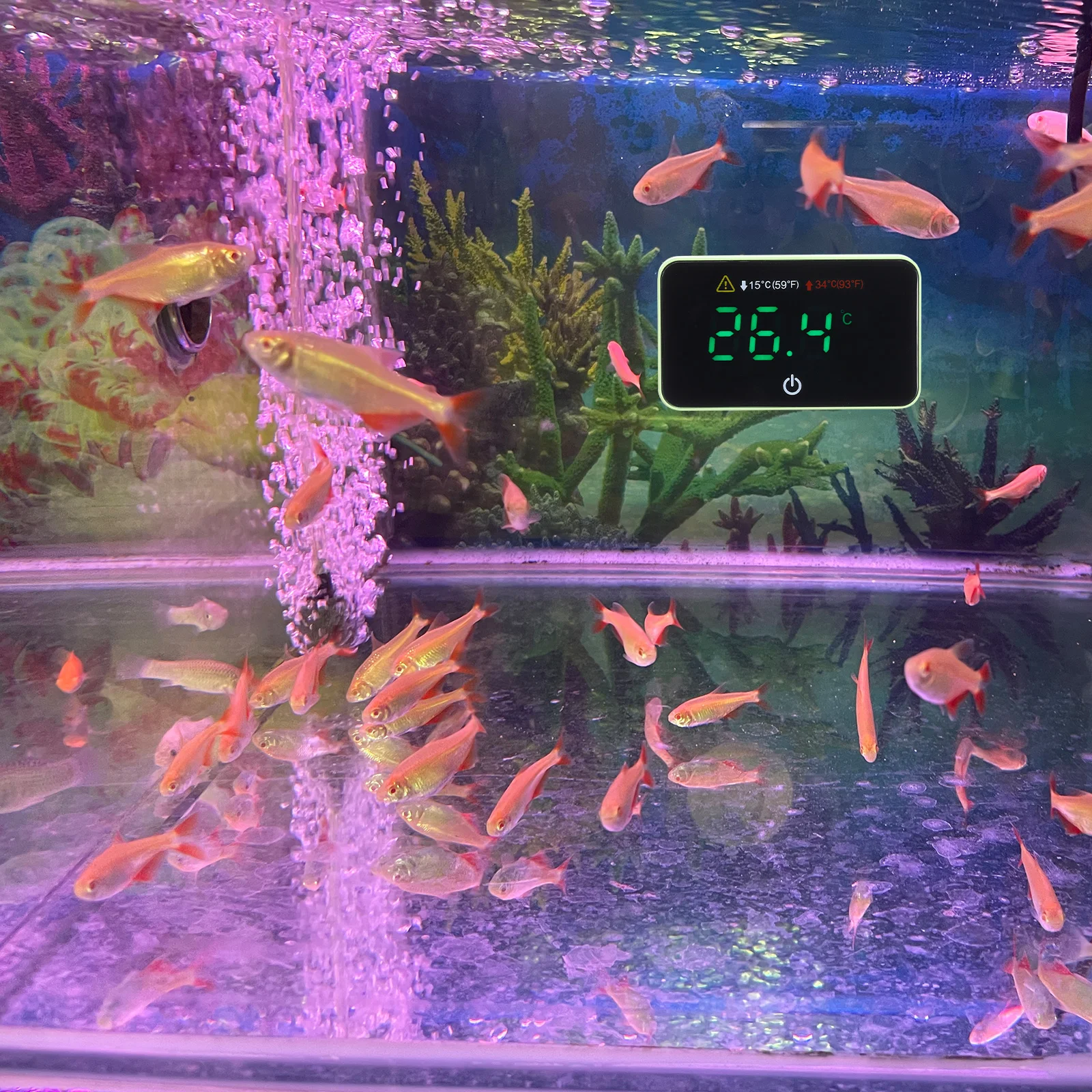 

Digital Thermometer Fish Tank LED Display Real Time Temperature Aquarium Supplies Pet Reptile Terrarium Accessories