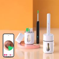 Portable With Camera Smart Visual Ear Cleaner Ear Sticks Hd Clean Earpick 6 LED Lights Wireless Wi-fi Ear Wax Removal Tool