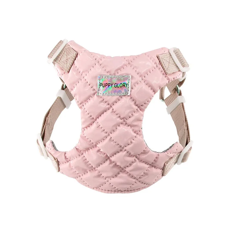 Dog Vest Harness Waterproof Breathable Pet Anti-breakaway Outdoor Walking Portable Vest Chest Back for Small Medium Large Dogs