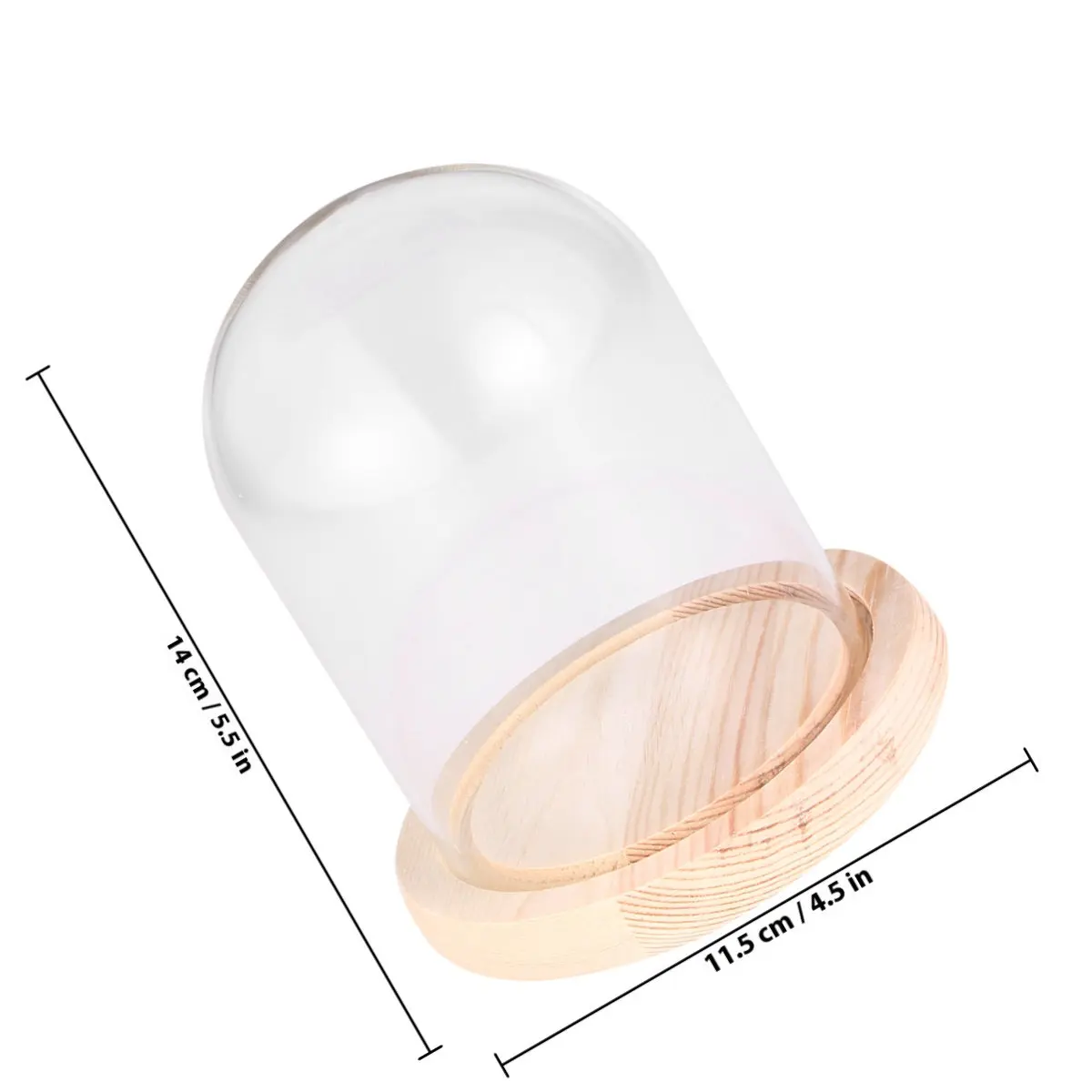 Micro Landscape Eternal Transparent Flower Glass Dome Cover 10x14cm Handmade Wooden Base Dustproof Portable Display Flower Dome