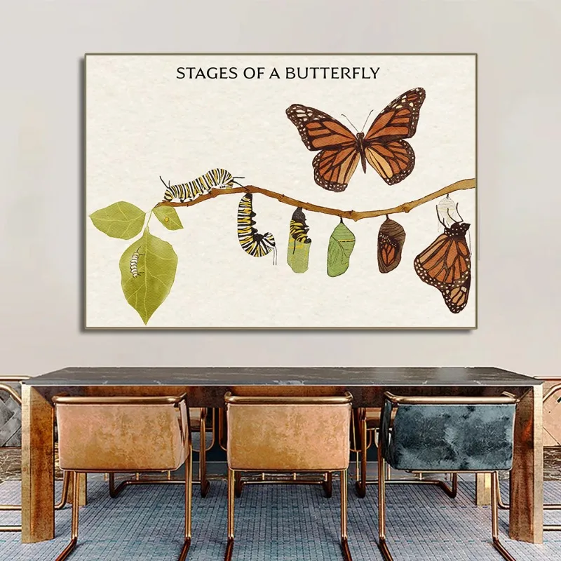 Stages of  A Butterfly Nature Curriculum Posters Printing Decoration Canvas Painting Living Room Bedroom Wall Art Home Decor