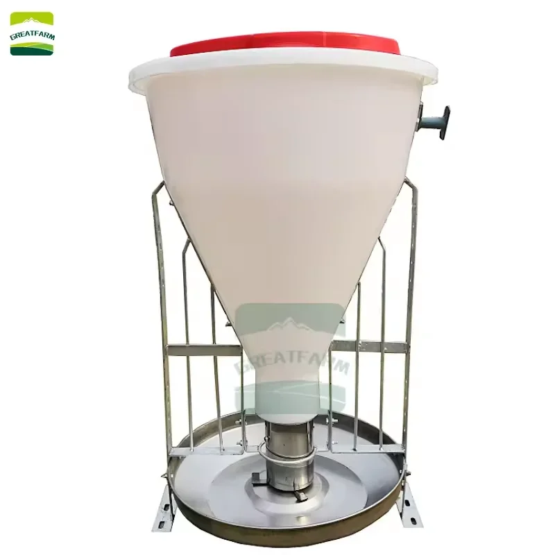 60kg 80kg  100kg fattening pig feeder, automatic feeder for fattening pigs, stainless steel dry and wet feeder for large pigs