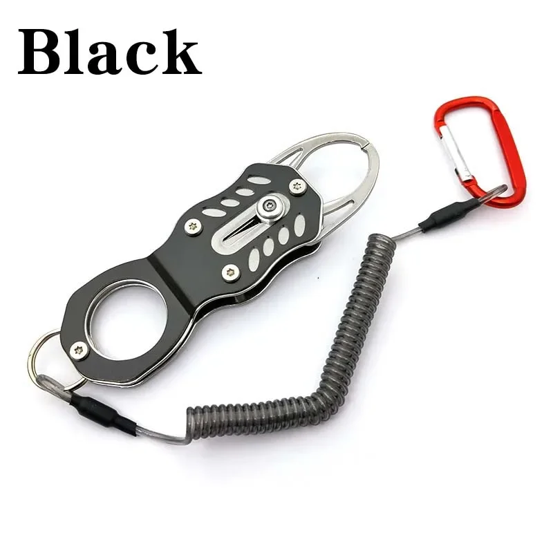 Variant: black