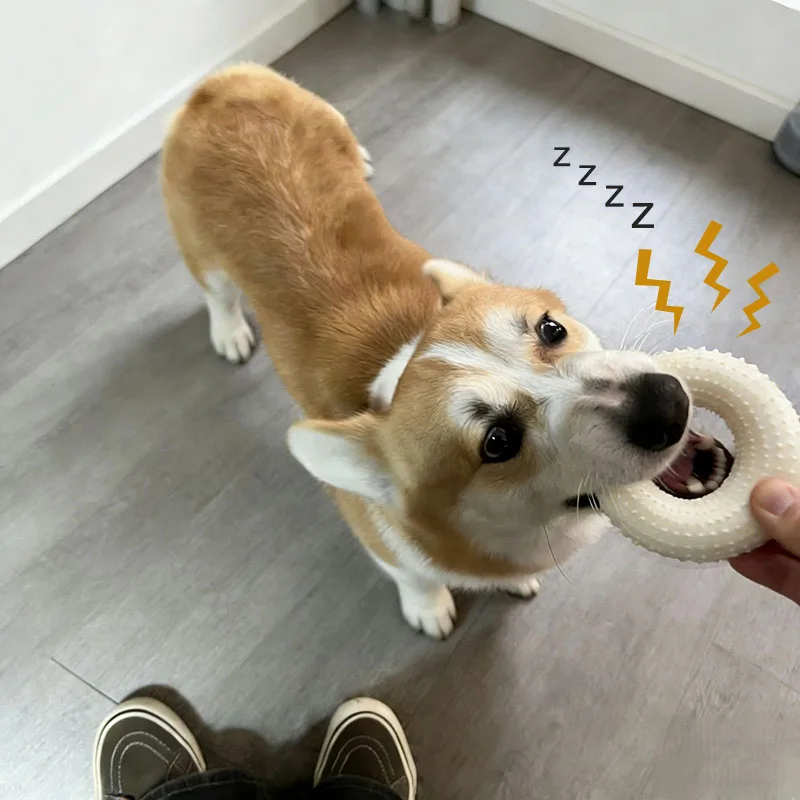 Soft TPR Spiky Ring Dog Chew Toy Bite‑proof Teeth Cleaning Toy Gentle Teething Toy Anxiety Reduction Entertainment Play Toy