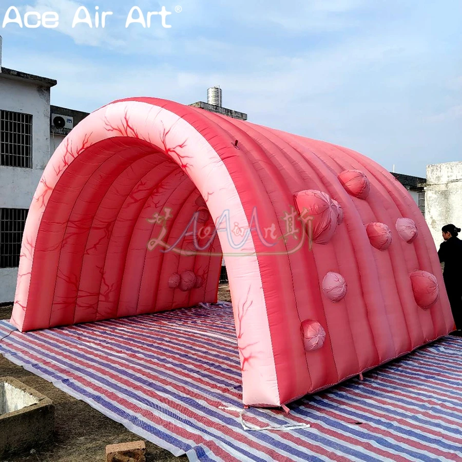 

Портативная печать, имитация органного кишечника, надувная туннельная палатка, надувной кишечник для коммерческих мероприятий или украшений