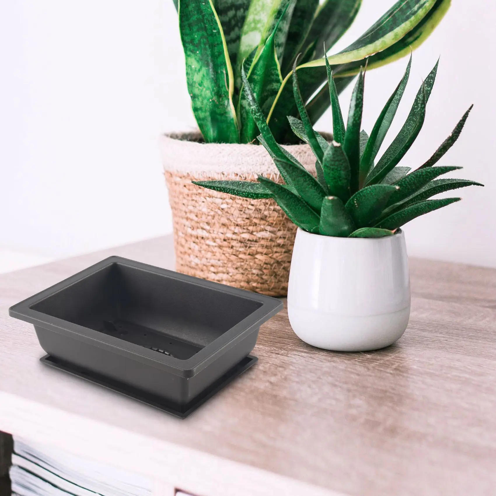 식물, 꽃, 허브, 플라스틱 사각 화분, 내장 메쉬가 있는 클래식 딥 습식 트레이, 6 개 분재 화분