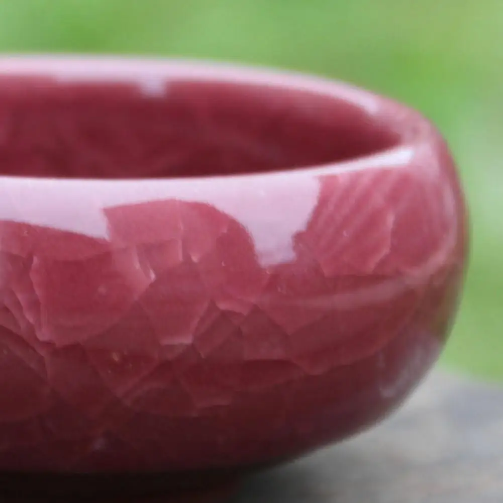 اناء للزهور السيراميك دقيق عملي صغير الحجم بسيط نبات عصاري زارع للمنزل