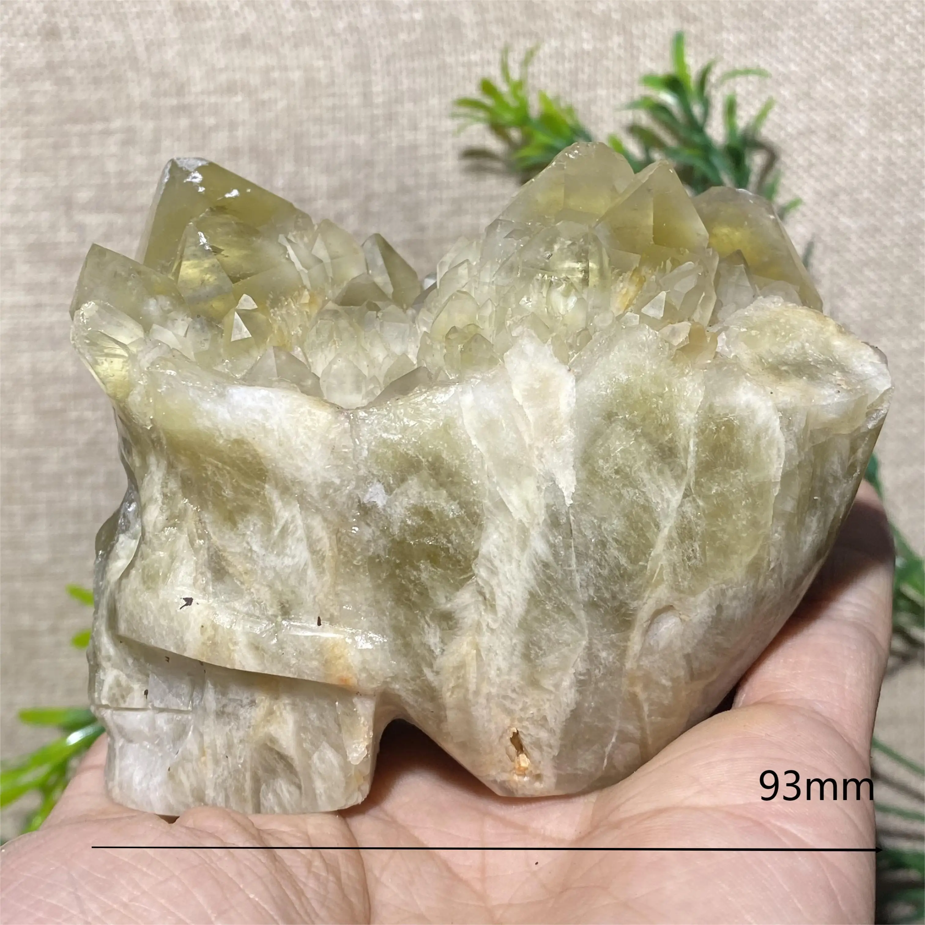 Citrine Cluster Skull Carving Crystal  Carving Crafts Gemstones Minerals Wicca Spiritual Reiki Ornaments Home Decoration