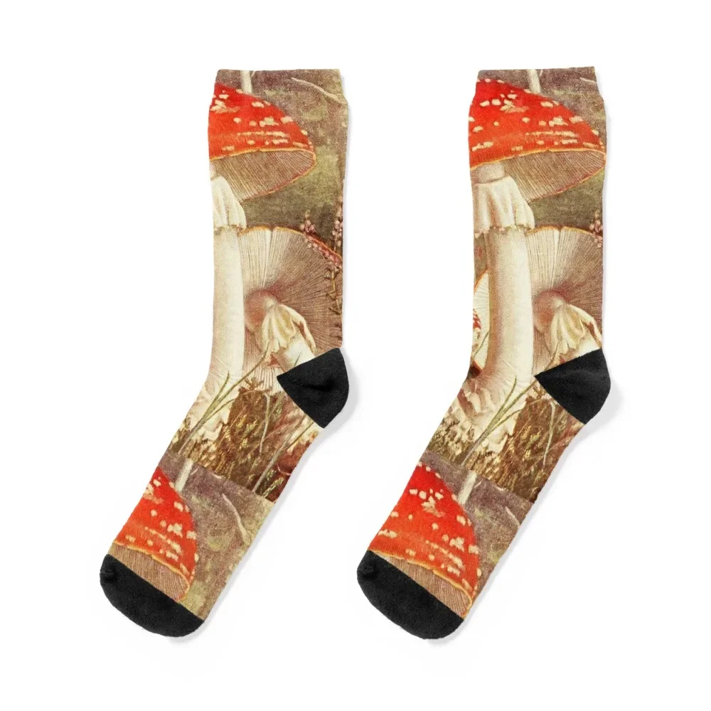 Amanita Muscaria Vintage Cottagecore Mushrooms Socks golf Stockings man Soccer Sports Man Socks Women's