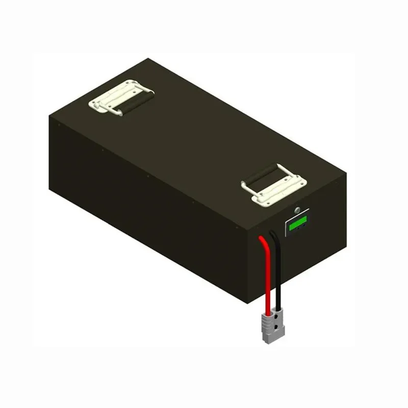 Robot AGV Lithium Lifepo4 battery pack with charger bms LED display 24V 36V 48V 72Ah 80Ah 100Ah