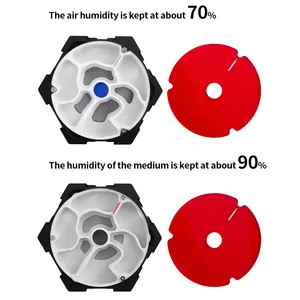 أعلى 8 مبيعات ملكة النمل - رقم 8